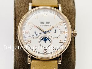 IWS Novo Calendário Perpétuo Moonphase Luxo Mens Watch Swiss 82650 Relógios Mecânicos Automáticos Designer Relógios Safira Cristal 18k Rose Gold Relógio de Pulso À Prova D 'Água