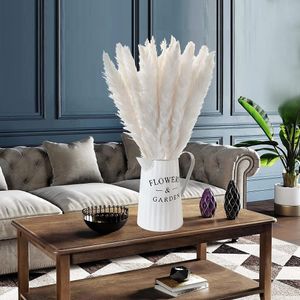 Torkade blommor 30st Pampas Natural Pampa Grass Real Reed Small Bulrush Bouquet White Plumes Home Office Decor Wedding Decoration 230701