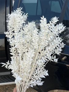 Dried Flowers ral Real Ruscus Leaves Bouquet White Eucalyptus Branches for Home Room Decor Wedding Arrangement Decoration 230701