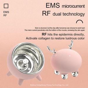 Prodotto brevettato di fabbrica originale Massaggiatore facciale EMS RF Beauty Equipment 2023 Dispositivi di rafforzamento per la cura della pelle del venditore caldo