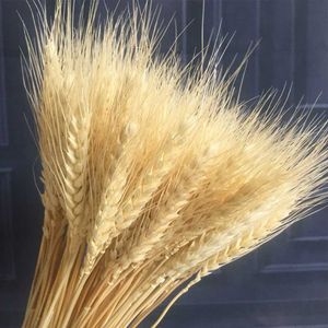 Dried Flowers 30Pcs Real Wheat Ear Natural Fluffy Grass Table Large Bunny Decor Home Decoration