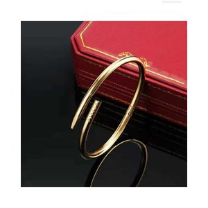 Модельер -дизайнер браслет Mens Bangle Love Charm Nail Bracelets Chain 18k Gold Plated из нержавеющей стали для женской девочки свадьба День матери Оптовая