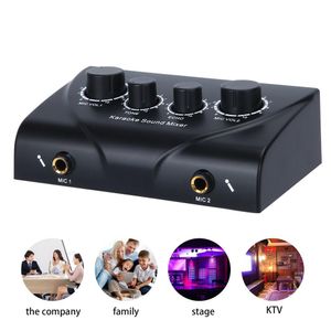 Förstärkare Portable Sound Mixer Echo Audio Mixer Sound Speaker Mini Microphone Amplifier Dubbel MIC Inputs for Company PC TV Party Studio