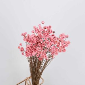Fiori secchi Mini Real Natural Little Star Bouquet Piante Conserva floreale per la decorazione di nozze Fleurs Fiori Sechees Naturelle