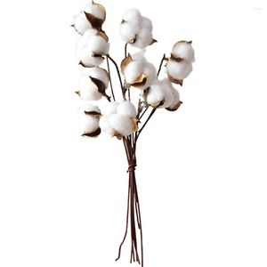 Decorative Flowers White 9 Stems Natural Dry Flower Cotton Branches Artificial