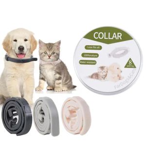 Floh- und Zeckenmittel für Hunde, Hundehalsband mit ätherischen Ölen, verstellbar, gegen Flöhe, für Katzen, gegen Flöhe, für Welpen, kleine und große Hunde, Flohprävention