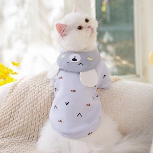 Cat Costumes Cute Bear Pet Sweater Winter Hairless Blue Anti-hair Loss Pullover Small Dog Two-legged Clothes Wholesale