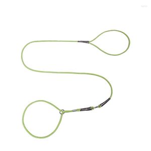 Hundhalsband Nylon Husdjurskoppel Utomhusträningskoppel Dubbelhandtagsrep P Style Justerbart halsbandsbälte för små stora hundar 1,2M