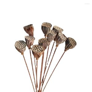 Decorative Flowers 1Pcs Dried Natural Real Plants Lotus Beauty Wedding Arrangemet Home Decor Desk Party Living Room Artificial Crafts