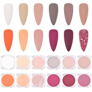 Polveri acriliche Liquidi 12 colori Nude Powder Set per l'estensione delle unghie Kit acrilici rosa French Nails Carving Pigment Dust 230703