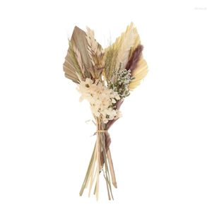 Decorative Flowers DIY Dried Flower Fan Arrangement Household Crafts Making Accessory For Festival Holiday Year Gift Supply