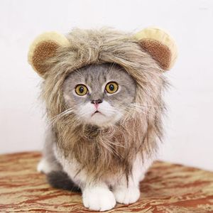 Cat Costumes 2023 Funny Cute Pet Costume Lion Mane Wig Cap Cappello per cane Halloween Christmas Clothes Fancy Dress With Ears