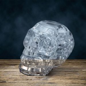 3D Puzzles 50PCS Set DIY Crystal Puzzle Jigsaw Assembly Model Gift Skull Skeleton For Adults Children Educational Toy Home Decoration 230704