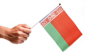 Großhandel indische Handflaggen Indien Handflagge Dekoration Polyester Indien Stickflaggen