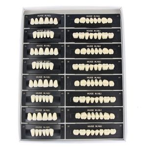 Lenti d'ingrandimento 4 12 16 set scatola Dentale Resina Denti Posteriore Anteriore Protesi a bocca piena Grandi dimensioni 2 strati Economico 230704