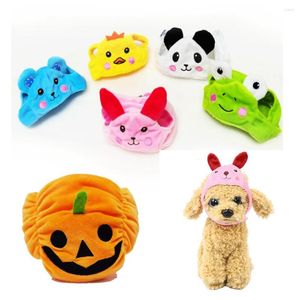 Vestuário para cães, gato e chapéu, Halloween, engraçado, abóbora, fantasia de animal fofo, moda, chapelaria, personalidade