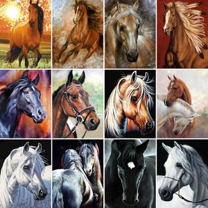 Curtains Horse Animal Diy Painting by Numbers Package Oil Paints 40*50 Canvas Pictures Home Decoration for Adults Wholesale Drawing