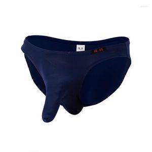 Cuecas Super Sexy Masculina Gelo Seda Cueca Masculina Legal Nariz de Elefante Grande Bolsa Cuecas Calcinhas Masculinas Roupas Sólidas