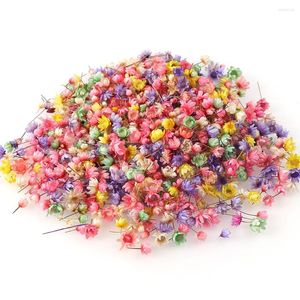 Decorative Flowers 100/200Pcs Real Little Star Flower Head For DIY Wreath Art Craft Epoxy Resin Home Party Wedding Decoration