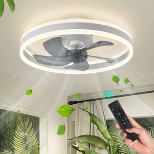 Modern Led ceiling fan with light DC motor 6-speed timing fan 50CM low floor loft remote control decorative light