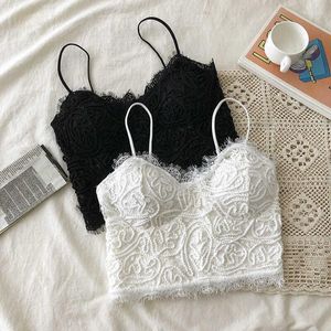 Regata feminina Moda Crop Tops Sexy Renda Regata Envolto no Peito Bandeau Roupa íntima Preto Branco Envolto Alça Almofada Lingerie