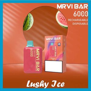 MRVI BAR 6000 일회용 펜 e 담배 장치 650mAh 배터리 13ml 포드 사전 채워진 캣 트릿 충전 가능 vape