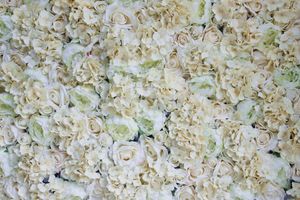 Декоративные цветы Spr 10pcs/лот шампанский гидрангея искусственная цветочная стена свадебная фон