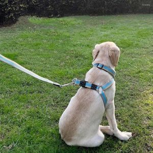 Collari per cani 1 set cinturino da addestramento per cuccioli addensato leggero durevole con collare Forniture per la casa Corda di trazione al guinzaglio