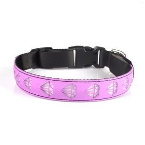 Hundhalsband Justerbart husdjur Miljövänligt Usb Uppladdningsbart Nylon Nattsäkerhet 8 färglampor 15 lägen Blinkande LED