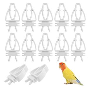 Decorazioni da giardino 12pcs Pappagallo Uccelli Clip per cibo Mangiatoia per gabbia per uccelli Clip di frutta per canarini Cacatua Fringuelli Accessori 230706