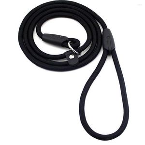 Hundehalsbänder Robustes Haustierhalsband Seil Nylon Slip Training Walking Lead mit P-Kette 1 cm Schwarz