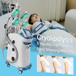 Venda da fábrica Cryolipolysis Slimming Vertical Effect Slimming Machine Máquina de congelamento de gordura Body Slimming 5 Head Freeze remoção de gordura Modelagem do corpo máquina de perda de peso