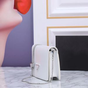 Lüks tasarımcı kadın dermis çantaları naylon omuz çantaları hobos çanta zincir çantalar tasarımcı crossbody bagetler bayan küçük kılıf