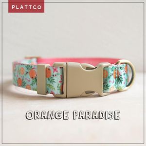 Collari per cani PLATTCO Poliestere Collana per animali domestici Loop Stampa a colori a contrasto Guinzaglio Collare per gatti a trasferimento termico Orange Paradise PDC366