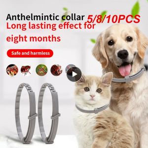 Dog Collars 5/8/10PCS For Puppy Cat Big Flea And Tick Remover Products Repellent Mosquitoes Collar Drive Away Fleas