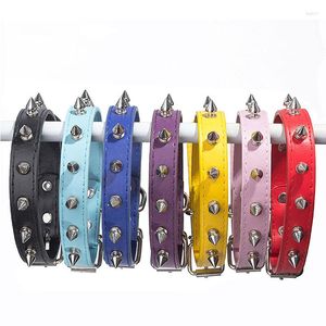 Collari per cani Gatto medio per prodotti Accessori per cuccioli di gatti Collare per cani con collo in pelle con borchie grandi a spillo Collana con cinturino piccolo