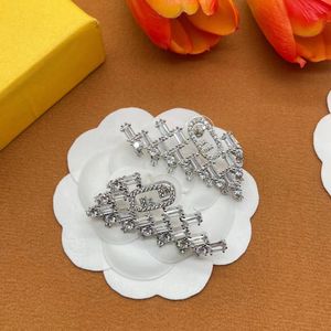 High-End Women Earrings Designer Classic Simple Versatile Fashion Jewelry Outstanding Temperament Birthday Party Wedding02 10A