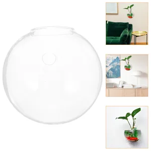 Vasen Hydrokultur Wandbehang Vase Glas Terrarium Terrarien Pflanzen Sukkulenten montiert