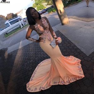 South afircan nigeria czarne dziewczyny syrenka suknie wieczorowe z iluzją długie rękawy 3D kwiecista koronka Appiqued kobiety formalne sukienki na przyjęcie sąd pociąg seksowne szaty CL2575