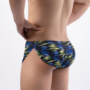 Underpants Sexy Men Underwear Boxer Shorts R-Type Trunks Breathable Nylon Silk Male Panties Man Cuecas Gay Boxers