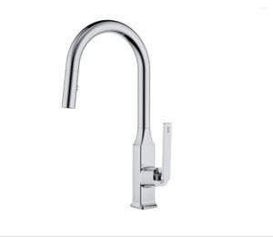 Kitchen Faucets Top Quality Brass Sink Faucet Design Pull Out Tap With Dual Mode Spray Cold Water