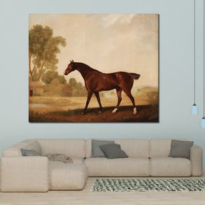 Пейзаж Canvas Art Eagle a Bay Race Домора