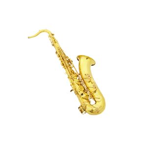 アドバンスドプロフェッショナル テナーラッカー ゴールドサックス SAX