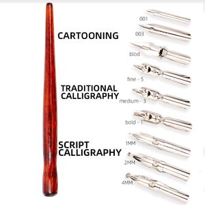 Fountain Pens Dainayw 9 Calligraphy Nibs Dip Pen Set for Cartoon Animation Lettering Skeching Art Drawing Mapping Decorative designs 230707