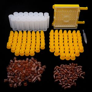 Other Pet Supplies Bee Queen Rearing Kit Complete Jenter Apiculture Tools for Beekeeping Box Cage Holder Plastic Cell Cups Breeding System 1Set 230707