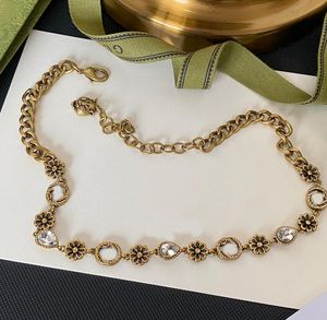 Gargantilhas de Design de Luxo Feminino Colar de Tigre com Letra de Marca de Alta Qualidade Banhado a Ouro 18K Crysatl Rhinestone Pulseira Elo Corrente Joalheria Acessórios