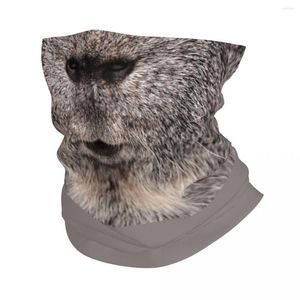 Bandanas Gray Guinea Pig Lips Bandana Winter Neck Warmer Women Windproof Wrap Face Scarf For Ski Kawaii Pet Animal Gaiter Headband