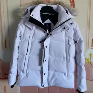 Men's Wyndham Winter Jacket with Down Parka Hood and Fur - Arctic lands end winter coats for Sale in Sweden and Canada - Designer Homme Doudoune Manteau 07