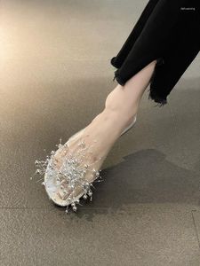 Slippers Shoes Woman 2023 Low Summer Cover Toe Luxury Slides Transparent Heel Pantofle Designer Flat Silver PU Basic Scandal