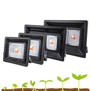 LED Groging Right防水IP67 50W 100W 200W 300W COBフルスペクトル成長植物屋内水耕栽培温室の洪水光